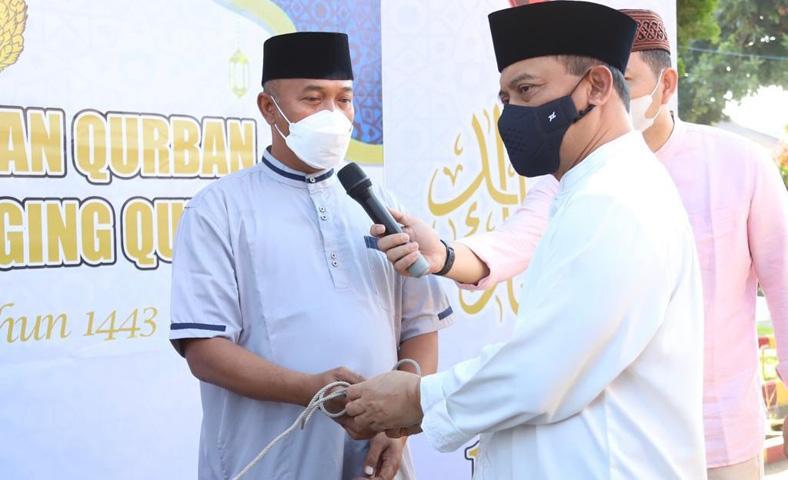 Idul Adha 1443 H, Jajaran Polda Jateng Sembelih 169 Sapi, 2 Kerbau dan 426 Kambing