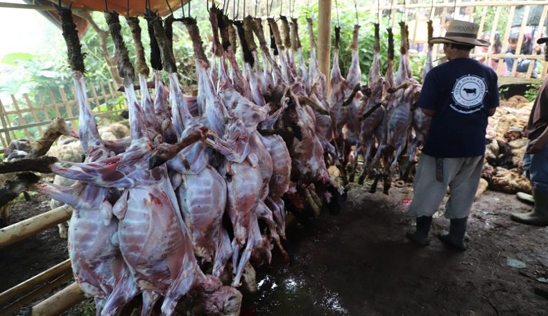 Di Tengah Wabah PMK, Warga Sekampung di Garut Berkurban 800 Ekor Domba