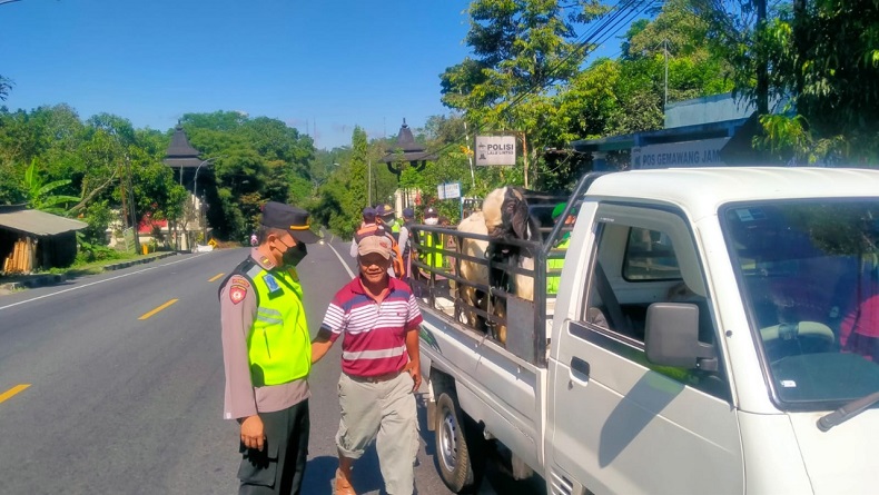 Waspada PMK, Polres Semarang Perketat Lalu Lintas Perdagangan Hewan Ternak