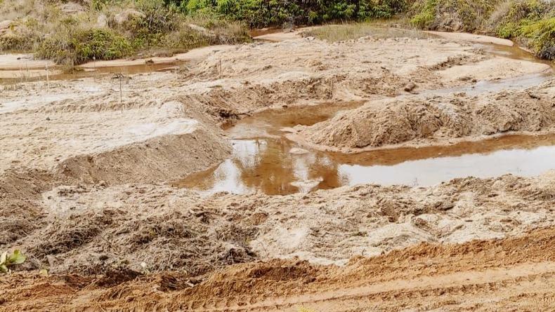 title 900 Hektare Lahan di Tahura Menumbing Rusak akibat Penambangan dan Pembalakan Liar 900 Hektare Lahan di Tahura Menumbing Rusak akibat Penambangan dan Pembalakan Liar