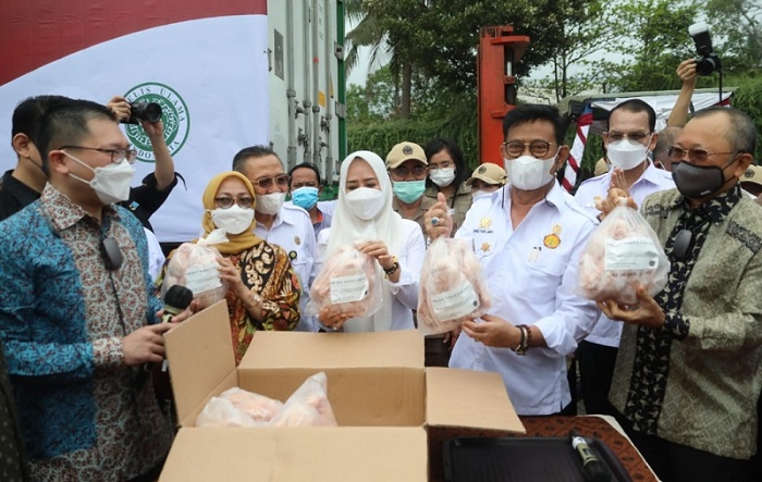 Perdana, Indonesia Ekspor 50 Ton Daging Ayam Beku ke Singapura  
