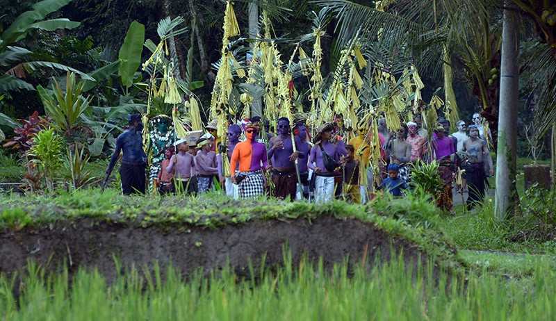 Tradisi Ngerebeg di Bali Ramai Disaksikan Wisatawan Mancanegara - Bagian 3
