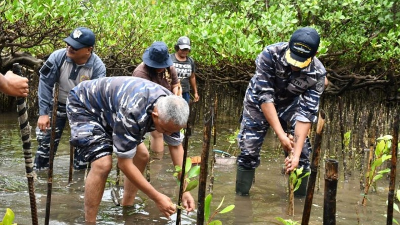 Cegah Abrasi Pantai, Lantamal VIII Ajak Masyarakat Tanam Mangrove 