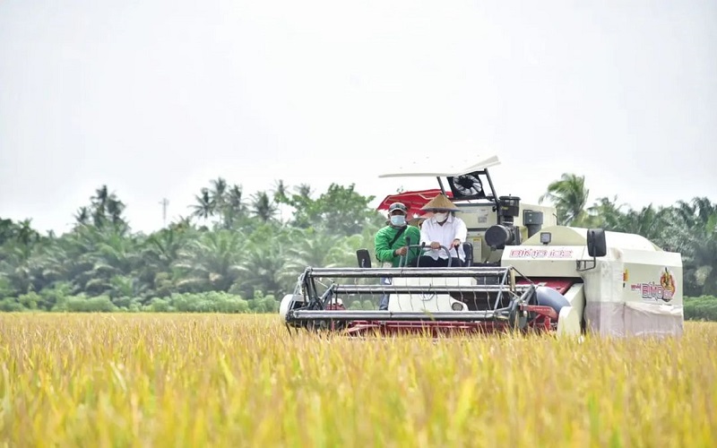 Panen Padi Naik Odong-Odong, Edy Rahmayadi Puji Kerja Keras Petani Sergai