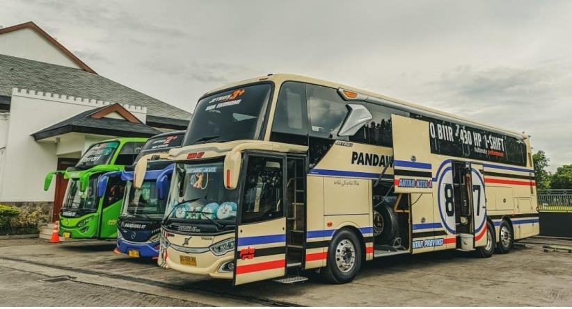 Perbedaan Bus Ekonomi, Patas, Eksekutif dan Sleeper, Ini yang Ada Layanan Pramugarinya Perbedaan Bus Ekonomi, Patas, Eksekutif dan Sleeper, Ini yang Ada Layanan Pramugarinya