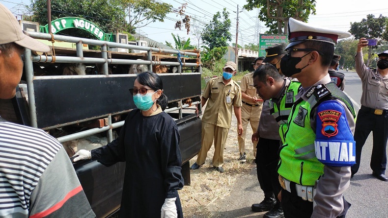 Waspada PMK, Polres Sukoharjo Periksa Lalu Lintas Hewan Ternak di Perbatasan