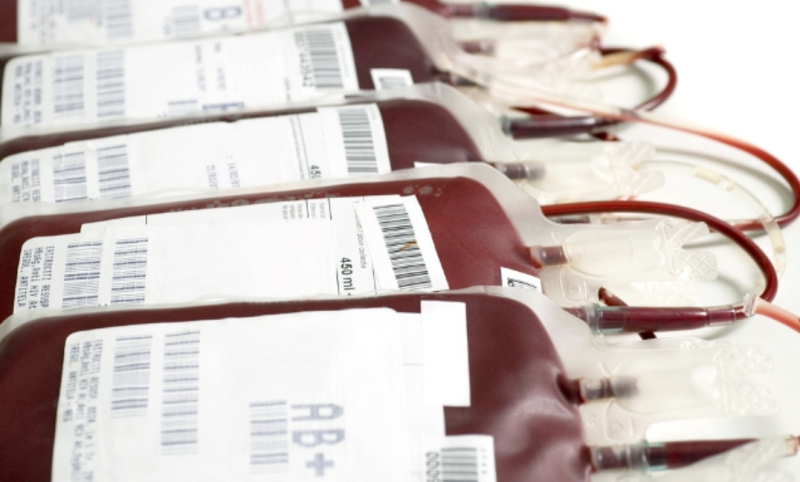 Ngeri, 514 Sampel Darah di PMI Surabaya Mengandung Penyakit Menular