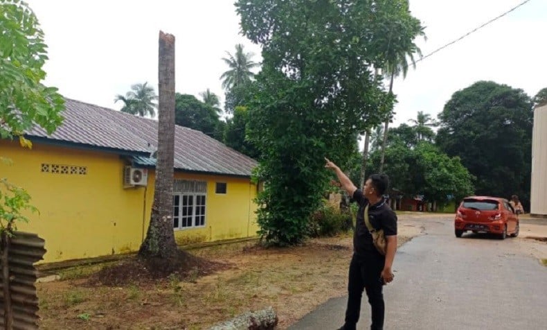 Siswi SMA di Batam Tewas Tertimpa Pohon Tumbang saat Terjadi Cuaca Buruk