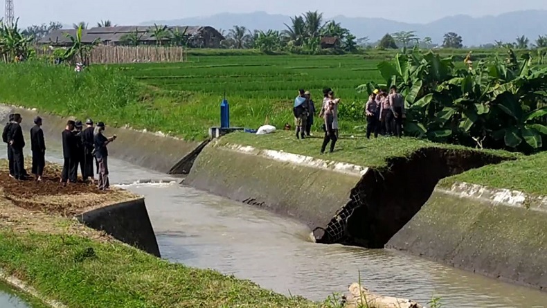 Tanggul Irigasi di Banjarnegara Jebol, Puluhan Kolam Ikan dan 3 Rumah Terendam Air