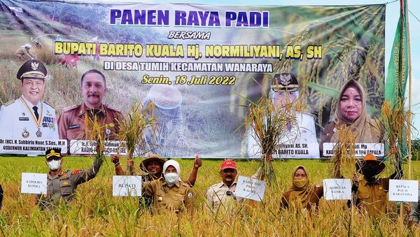 Bupati Barito Kuala Harapkan Produksi Padi Terus Meningkat