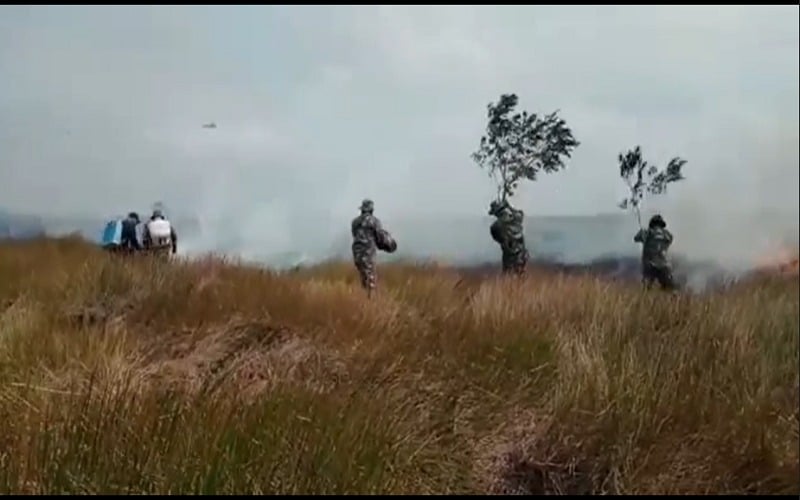 Lahan Gambut Seluas 100 Hektare di OKI Terbakar