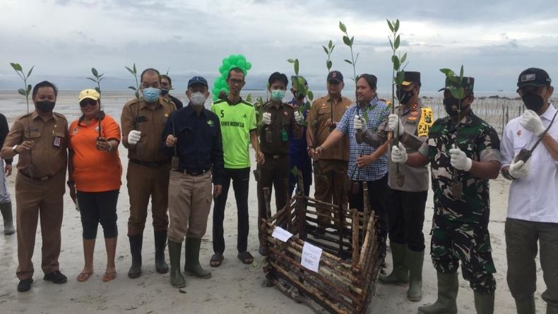 Cegah Abrasi, PWI Babel Tanam Ratusan Mangrove di Pantai Perepat Mati