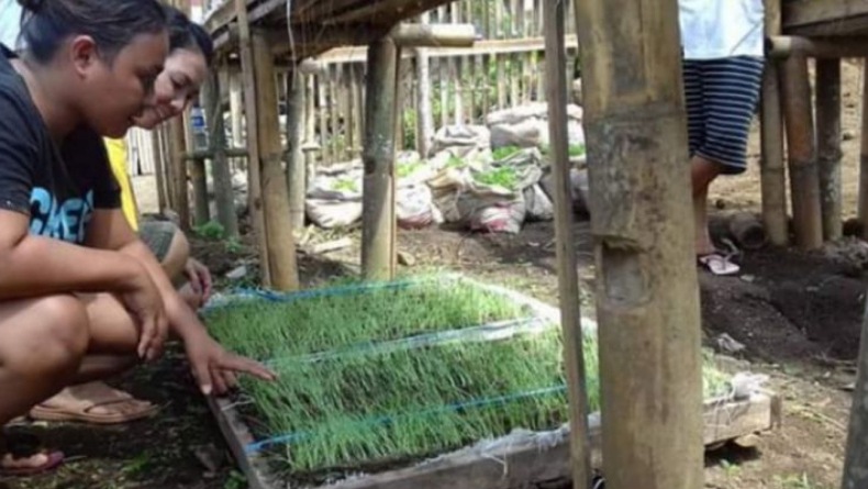 Pemkab Minahasa Tenggara Ajak Generasi Muda Maksimalkan Lahan Kosong untuk Bertani