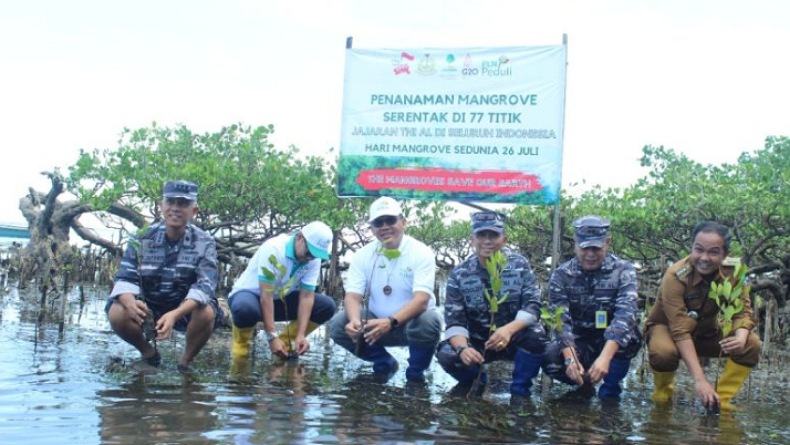 Lantamal VIII Tanam 2.000 Bibit Mangrove di Pantai Desa Wisata Minahasa Utara   