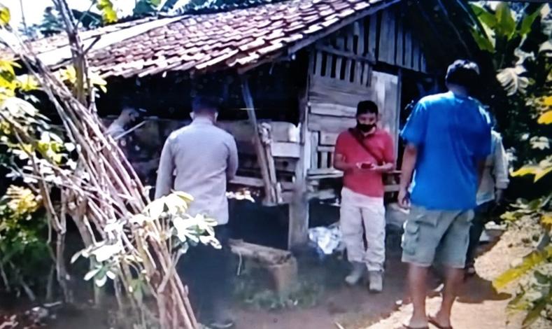 Viral Belasan Kambing Dicuri dan Dibunuh lalu Dibuang Hebohkan Warga Banyumas