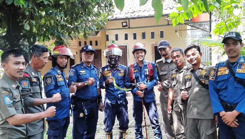 Gunakan APD Lengkap, Petugas Evakuasi Ular Berbisa Jenis Viper Daun di Perumahan Bogor