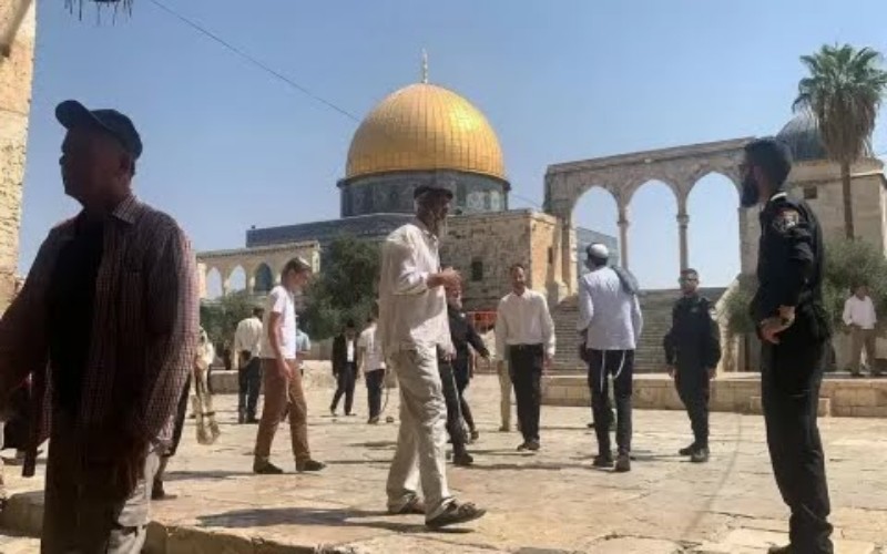 Pemukim Yahudi Tembak Mati Bocah Palestina