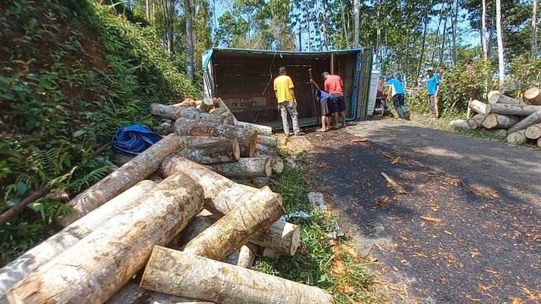 Tak Kuat Nanjak, Truk Pengangkut Kayu Jabon Terguling di Singajaya Garut