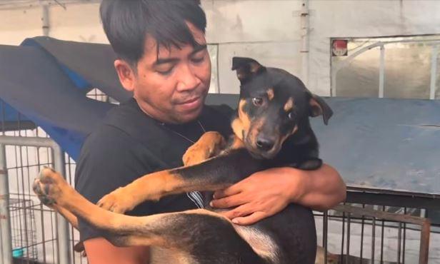 Polisi Gerebek Rumah Jagal Anjing di Surabaya, Sudah Beroperasi Puluhan Tahun
