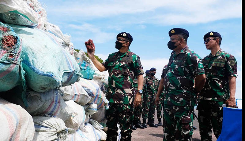 Penampakan Terumbu Karang Merah Senilai Rp2,5 M Hasil Selundupan Diamankan TNI AL - Bagian 3
