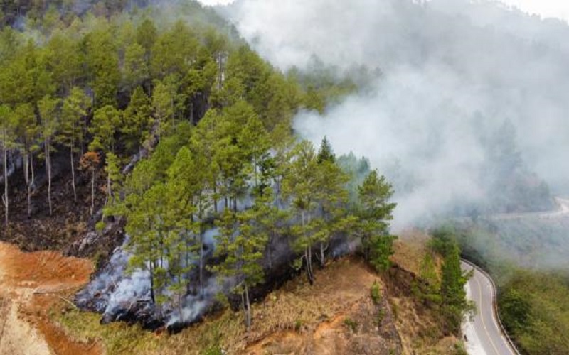 Hutan Kawasan Danau Toba Terbakar, Posisi Dekat Objek Wisata Menara Padang Tele