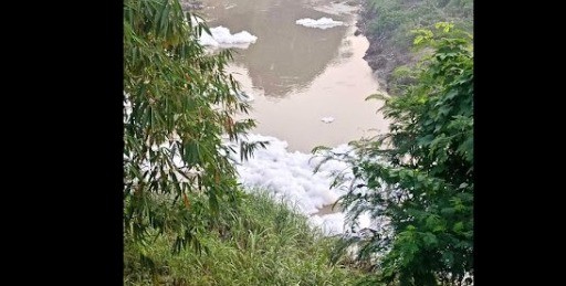 Viral Limbah Busa di Sungai Cileungsi, DLH Uji Sampel Air