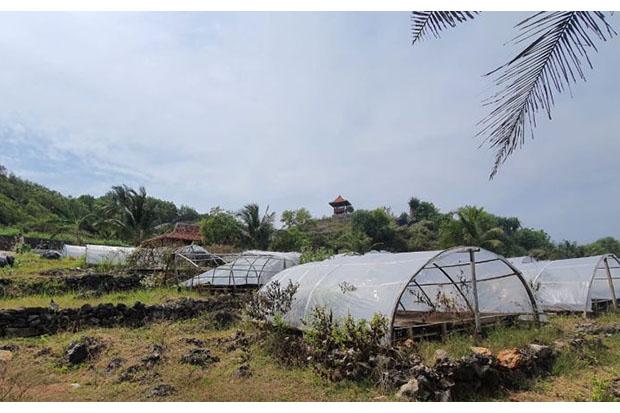 title Kelompok Budi Daya Garam Gunungkidul Sulit Pasarkan Produk, Akhirnya Berhenti Produksi Kelompok Budi Daya Garam Gunungkidul Sulit Pasarkan Produk, Akhirnya Berhenti Produksi