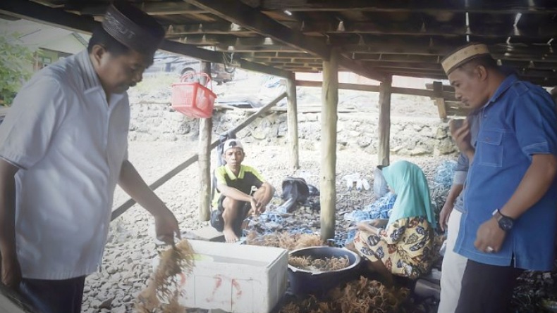title Budi Daya Rumput Laut di Gorontalo Utara Bisa Hasilkan Rp1 Triliun per Tahun Budi Daya Rumput Laut di Gorontalo Utara Bisa Hasilkan Rp1 Triliun per Tahun