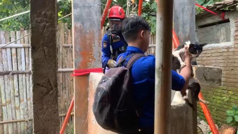 Dramatis, Evakuasi Kucing Tercebur Sumur Sedalam 23 Meter di Magelang