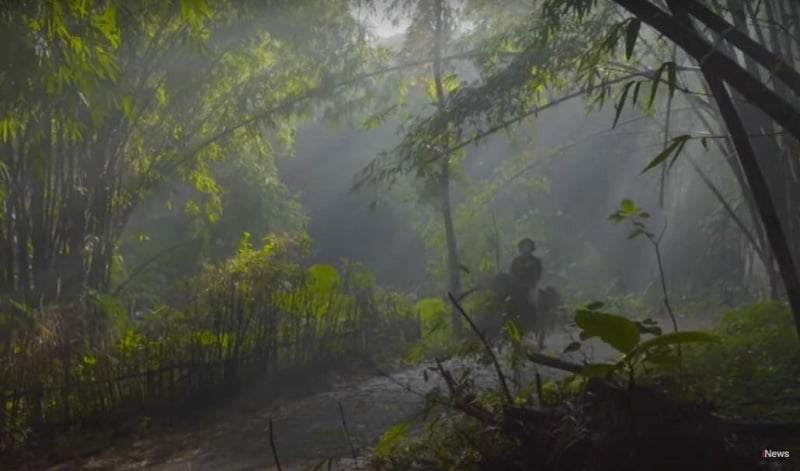 Serunya Berburu Ray Of Light Di Hutan Bambu Desa Wisata Sanankerto ...