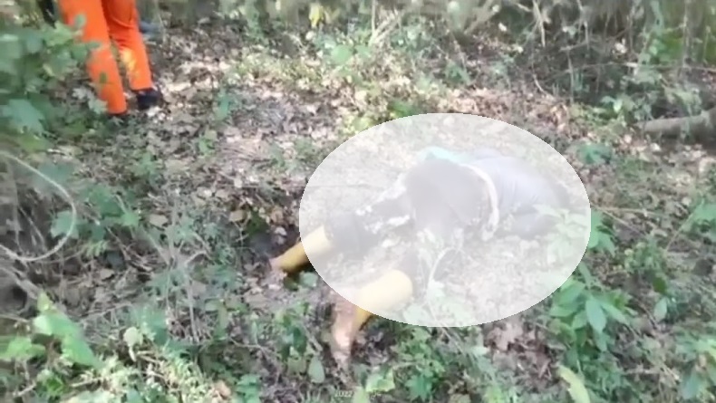 Cirebon Gempar, Pria Pencari Kroto Tewas di Tengah Hutan Cipanundan Kuningan