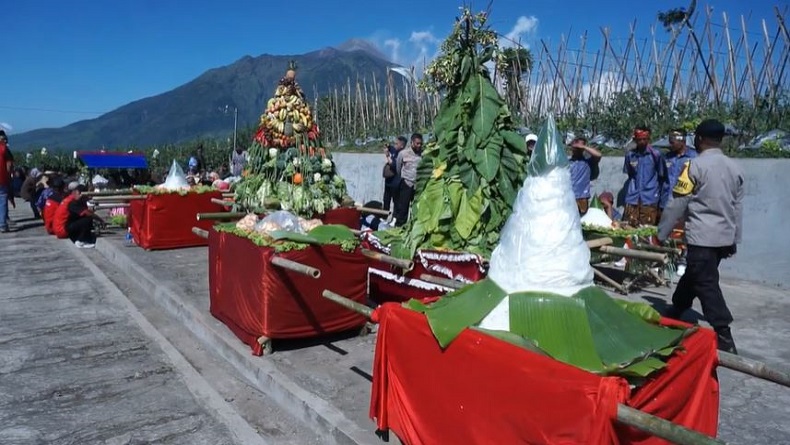 Warga Lereng Merbabu Gelar Tradisi Tungguk Tembakau Sebelum Panen