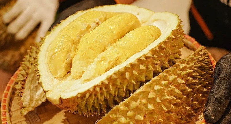 Cara Memilih Durian Musang King Asli Malaysia, Enak dan Legit Bikin Nagih 