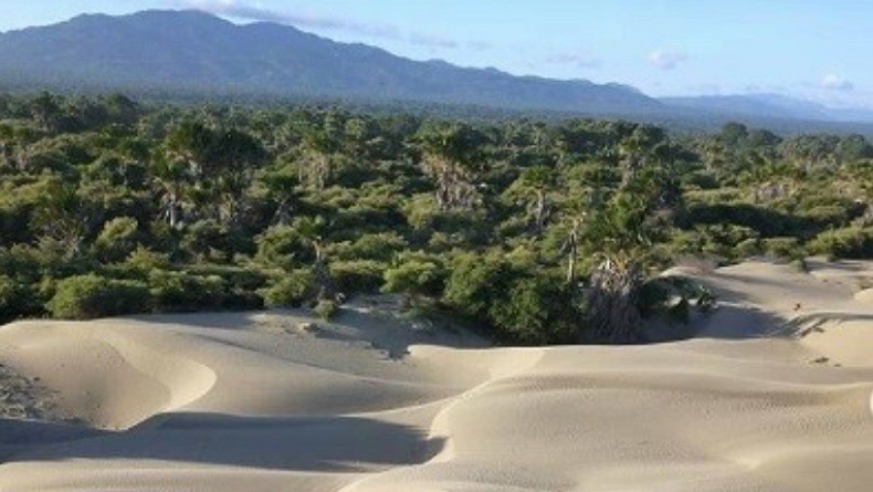 Gurun Pasir di Indonesia, Ada yang Jarang Dijamah Keramaian