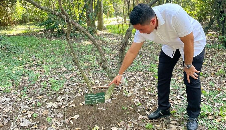 BRIN Tegaskan Tak Ada Tanaman Bibit Bahan Kokain di Kebun Raya Bogor