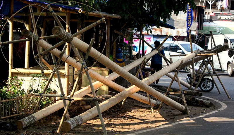 Pedagang Pohon Pinang Banyak Pesanan Jelang HUT RI - Bagian 2