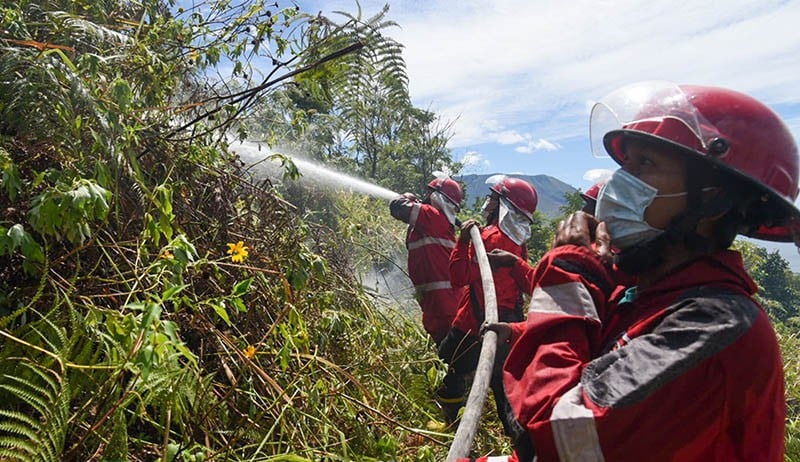 Ratusan Petugas Gabungan Berjibaku Padamkan Kebakaran Hutan dan Lahan di Samosir - Bagian 3