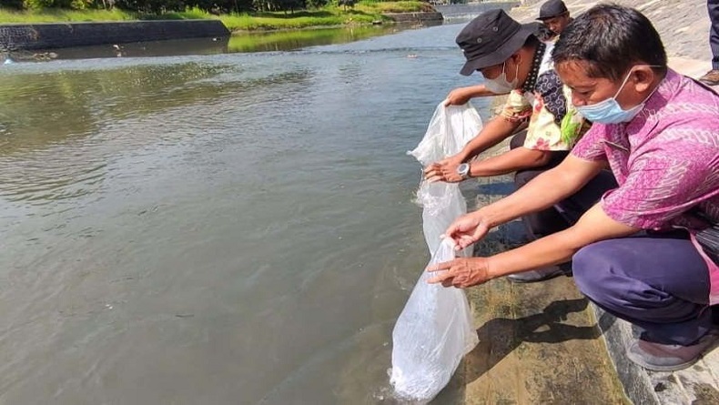 Ribuan Benih Ikan Ditebar di Aliran Kanal Banjir Barat Semarang