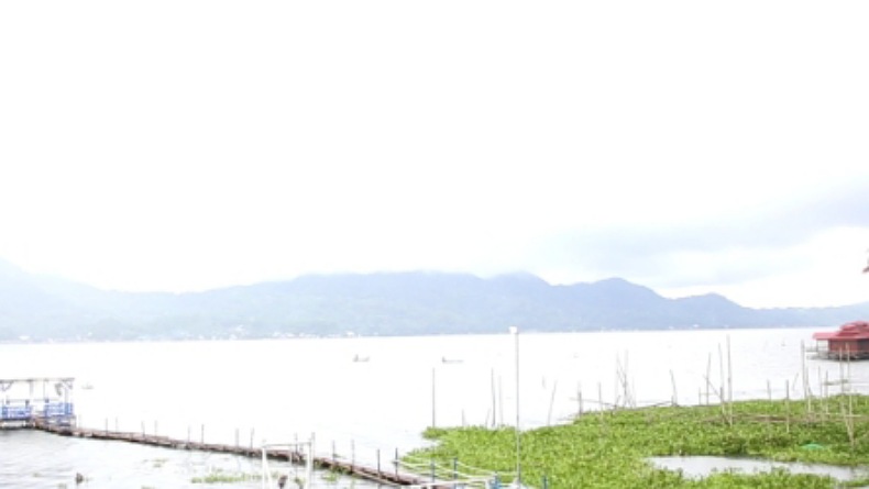 Revitalisasi Danau Tondano Mendesak, Masih 70 Hektare yang Tertutup Eceng Gondok