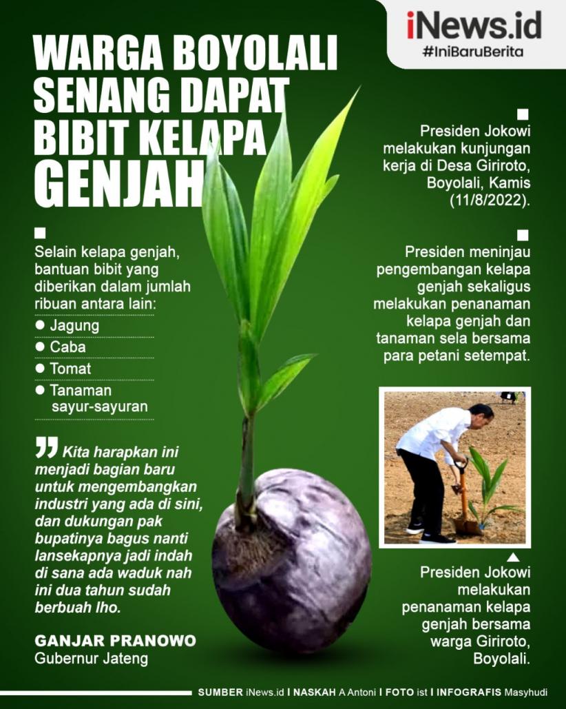 Infografis Warga Boyolali Senang Dapat Bibit Kelapa Genjah