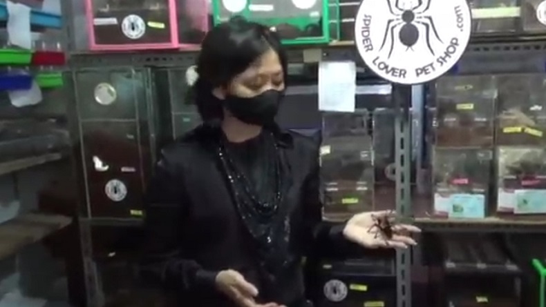 Perempuan Bandung Ini Raup Rp10-Rp20 Juta per Bulan dari Budi Daya Tarantula 