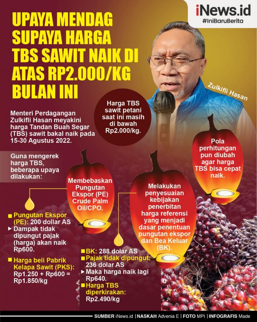  Infografis Upaya Mendag supaya Harga TBS Sawit Naik di Atas Rp2.000 per Kg 