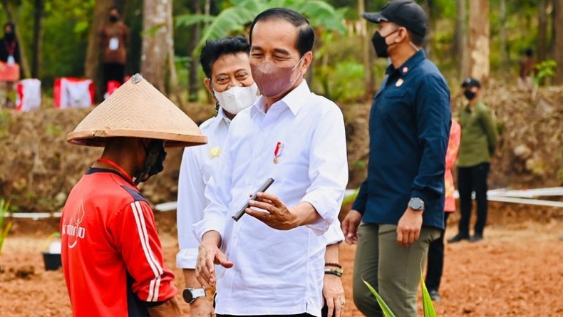 Kebijakan Presiden Jokowi Pulihkan Perekonomian Terdampak Pandemi