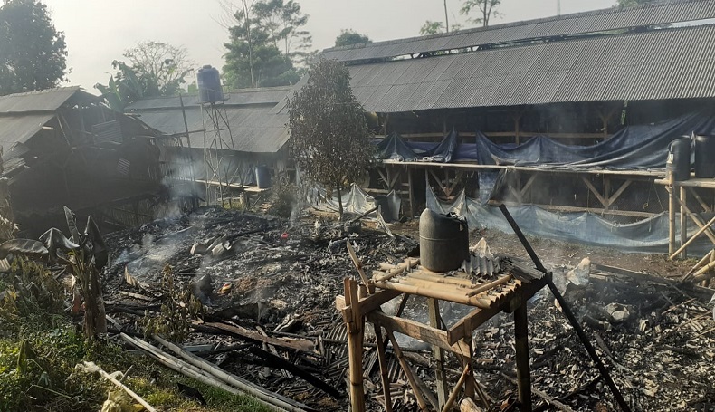 Kebakaran Hanguskan Kandang Ayam di Cidahu Sukabumi, 5.000 Ekor DOC Mati