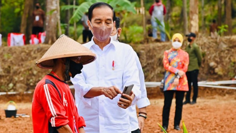 Momen Presiden Jokowi Perlihatkan Kelapa Genjah ke Petani