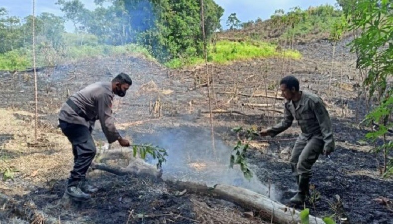 Hutan 5 Hektare di Perbatasan RI-Malaysia Terbakar Gegara Warga Bakar Lahan