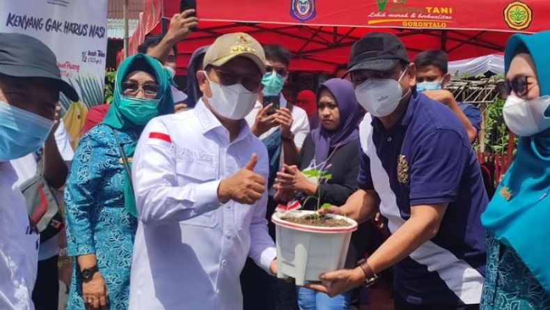 Harga Cabai di Gorontalo Tak Menentu, Masyarakat Disarankan Batanam Rica Sandiri 