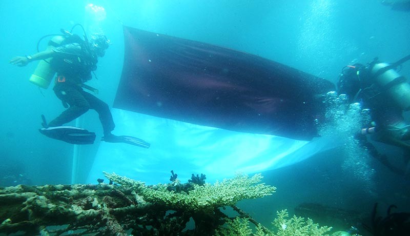 Pengibaran Bendera Merah Putih di Bawah Laut, Simbol Indonesia Negara Maritim - Bagian 1