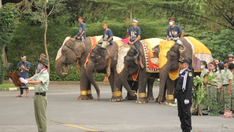 title Unik, Aneka Satwa Taman Safari Bali Ikut Upacara HUT Ke-77 RI, Ada Gajah Berjejer Rapi Unik, Aneka Satwa Taman Safari Bali Ikut Upacara HUT Ke-77 RI, Ada Gajah Berjejer Rapi