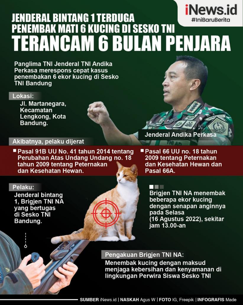 Infografis Jenderal Bintang 1 Penembak Mati Kucing di Bandung Terancam 6 Bulan Penjara